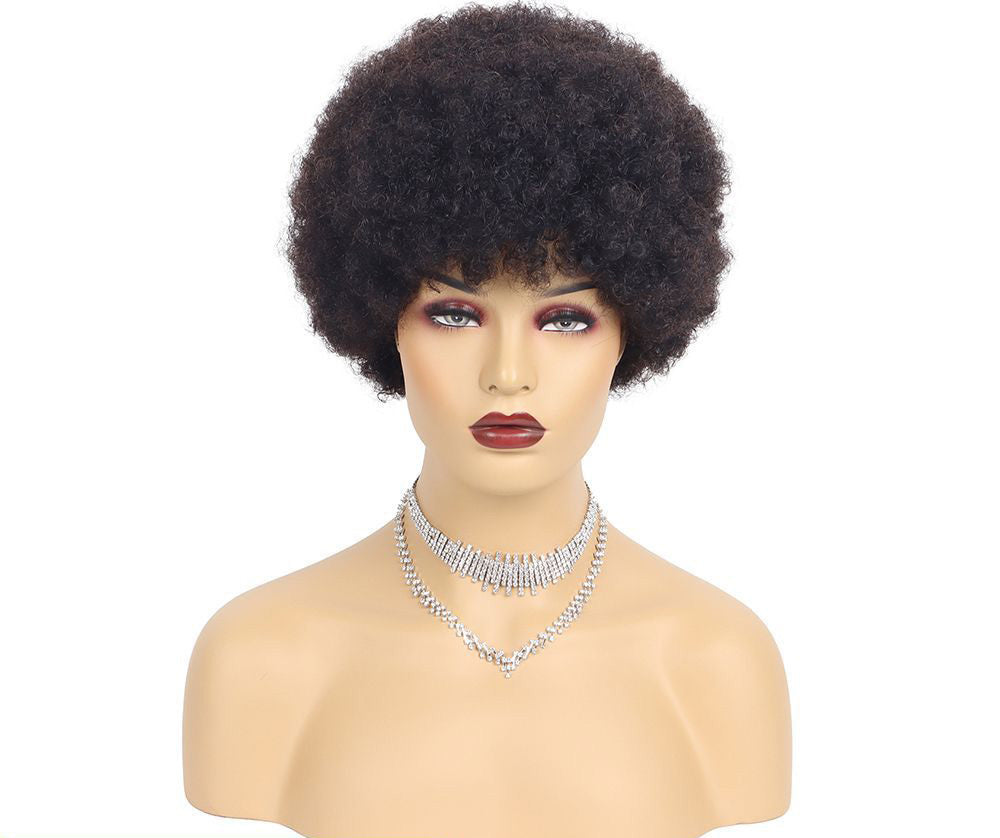 Perruque Courte Afro Kinky Curly – 100 % Cheveux Naturels
